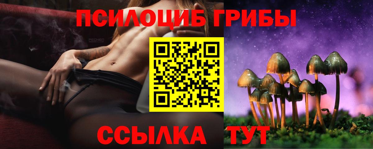 Псилоцибиновые грибы ЛСД  Вход с VPN  Волгоград 
